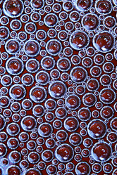 Similar image 10509228