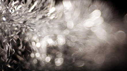 Similar image 10509250