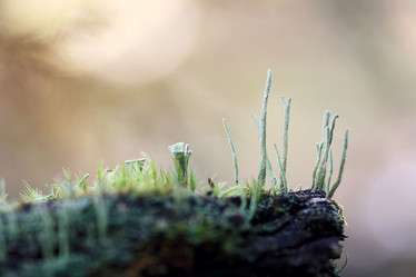 Similar image 10509258