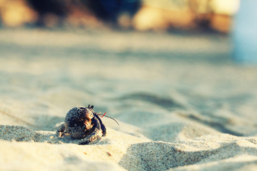 Similar image 10509299