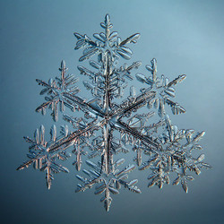 Similar image 10509305