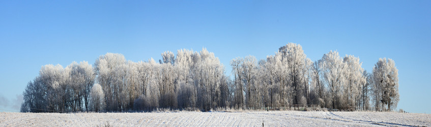 Similar image 10509309