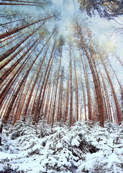 Similar image 10509313