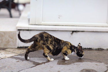 Similar image 10509314