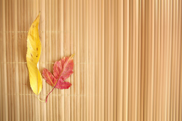 Similar image 10509315