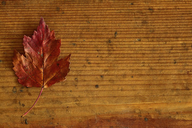 Similar image 10509319