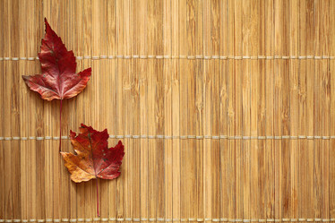 Similar image 10509320