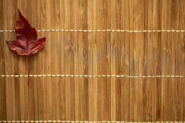 Similar image 10509321