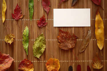 Similar image 10509324