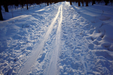 Similar image 10509333