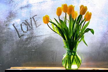 Similar image 10509339