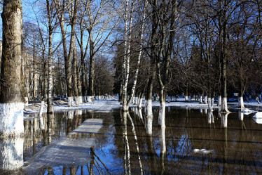 Similar image 10509345