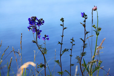 Similar image 10509374