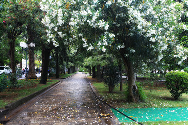 Similar image 10509385