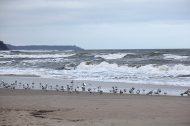 Similar image 10509394