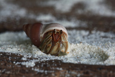 Similar image 10509395