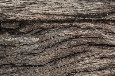 Similar image 10509447