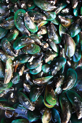 Similar image 10509474