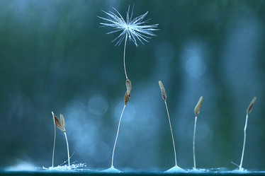 Similar image 10509515