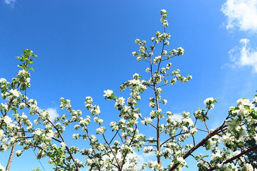 Similar image 10509518