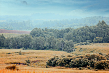 Similar image 10509520