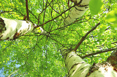 Similar image 10509523