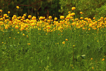 Similar image 10509547