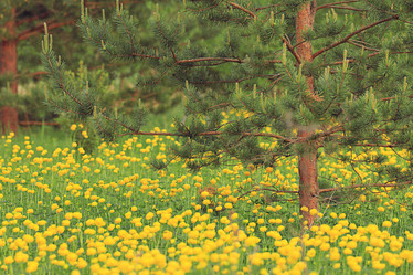 Similar image 10509551