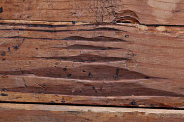 Similar image 10509554