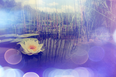 Similar image 10509556