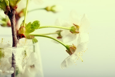 Similar image 10509557