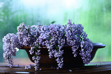 Similar image 10509561