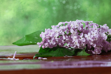 Similar image 10509562