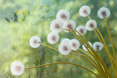 Similar image 10509564