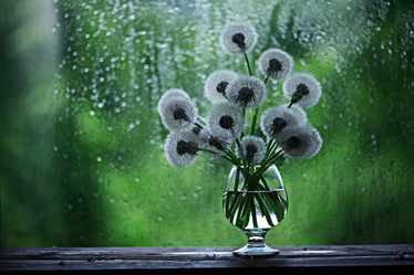 Similar image 10509568