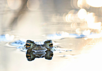 Similar image 10509573