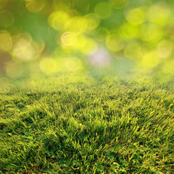 Similar image 10509575