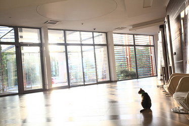 Similar image 10509581