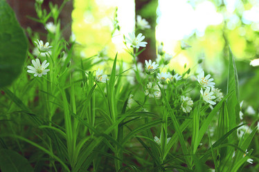 Similar image 10509594