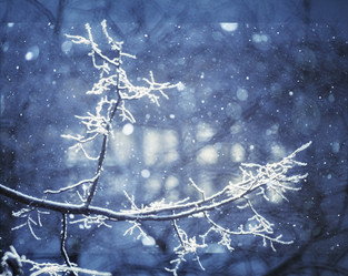 Similar image 10509598