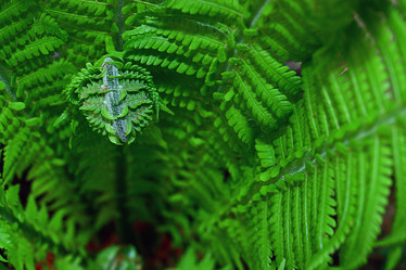 Similar image 10509600