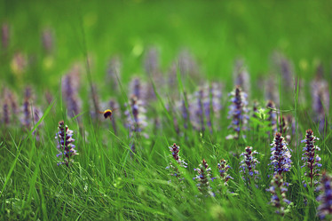 Similar image 10509602