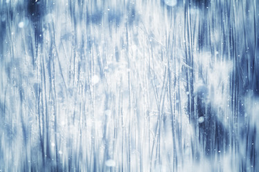 Similar image 10509604