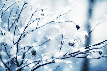 Similar image 10509606