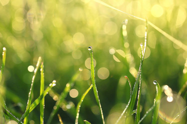 Similar image 10509612