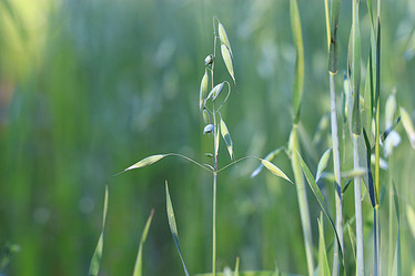 Similar image 10509614