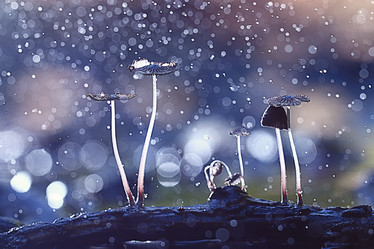 Similar image 10509618