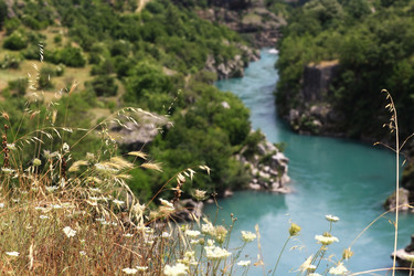 Similar image 10509629