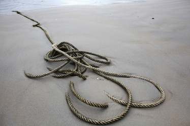 Similar image 10509647