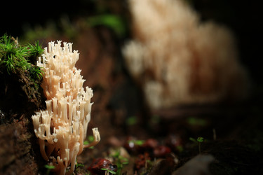 Similar image 10509656